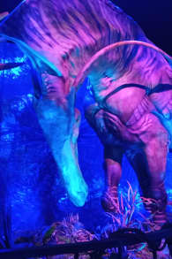 Photo 9 from Avatar: The Experience