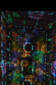 Photo 5 from Eonarium FLOW : un spectacle lumineux immersif au Palais de la Bourse