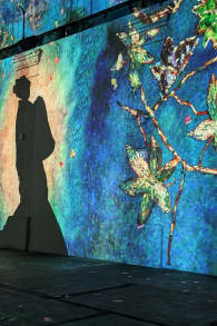 Photo 7 from Monet: Experience an immersive masterpiece at Phoenix des Lumières