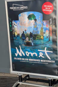 Photo 8 from Monet: Experience an immersive masterpiece at Phoenix des Lumières