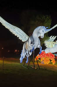 Photo 14 from Brilla Zoo Festival