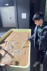 Photo 2 from Dinos Alive: An Immersive Experience