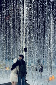 Photo 11 from Festilumi