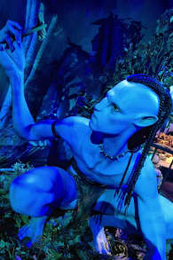 Photo 13 from Avatar: The Experience
