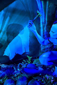 Photo 15 from Avatar: The Experience