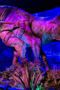 Photo 17 from Avatar: The Experience