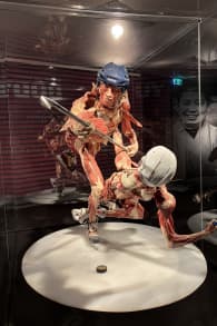 Photo 5 from BODY WORLDS: The Anatomy of Happiness