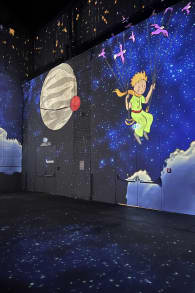 Photo 5 from Der Kleine Prinz - Ein immersives Märchen