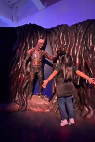 Photo 5 from Stranger Things: The Experience