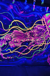 Photo 1 from LOVE UP! - Mar del Plata