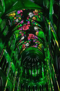 Photo 12 from Genesis, l'histoire de la Création en un spectacle lumineux et immersif à Toulouse