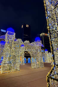 Photo 13 from Festilumi