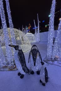 Photo 14 from Festilumi