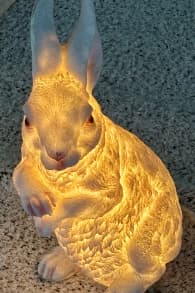 Photo 15 from Festilumi