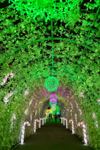 Photo 16 from Festilumi