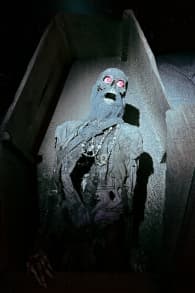 Photo 5 from DUNGEONS & DRAGONS: The Immersive Quest