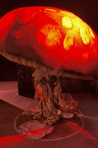 Photo 10 from DUNGEONS & DRAGONS: The Immersive Quest