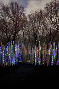 Photo 8 from Light Cycles : Un parcours nocturne scintillant entre nature, lumière et sons