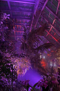 Photo 6 from 京都府立植物園：LIGHT CYCLES KYOTO (ライトサイクル京都)