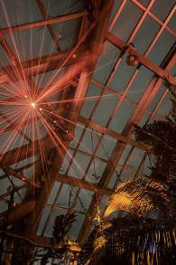 Photo 8 from 京都府立植物園：LIGHT CYCLES KYOTO (ライトサイクル京都)