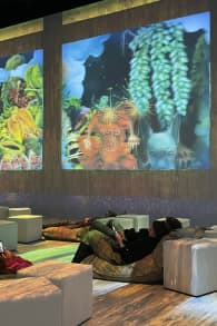 Photo 1 from Viva Frida Kahlo - das immersive Erlebnis