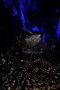 Photo 5 from Astra Lumina: An Enchanted Night Walk Amongst the Stars