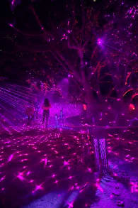 Photo 6 from Astra Lumina: An Enchanted Night Walk Amongst the Stars