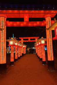 Photo 5 from Le Japon en Lumières - Festival des Lanternes au Jardin d’Acclimatation