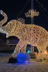 Photo 2 from Lumagica Munich - Carnival of Lights