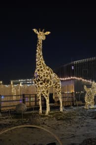 Photo 4 from Lumagica Munich - Carnival of Lights