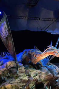 Photo 19 from Avatar: The Experience