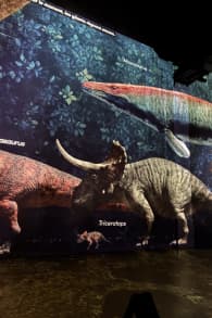 Photo 1 from Planète Préhistorique : Dinosaures, L’expérience immersive à l’Atelier des Lumières