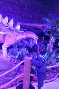 Photo 5 from Dinos Alive: An Immersive Experience