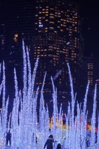 Photo 19 from Festilumi