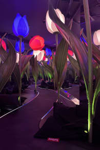 Photo 1 from Highlights of Holland