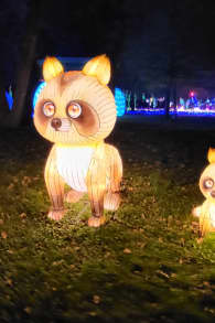 Photo 7 from Le Japon en Lumières - Festival des Lanternes au Jardin d’Acclimatation