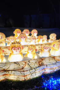 Photo 8 from Le Japon en Lumières - Festival des Lanternes au Jardin d’Acclimatation