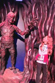 Photo 14 from Stranger Things: The Experience