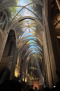 Photo 11 from AURA: An Immersive Odyssey of Breathtaking Proportions