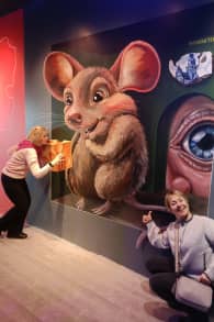 Photo 6 from Highlights of Holland