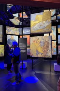 Photo 19 from VINCENT - Zwischen Wahn und Wunder