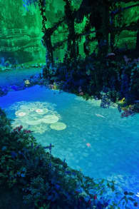 Photo 3 from Monet: L'Esperienza Immersiva