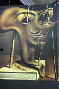 Photo 2 from Dalí Challenge in CDMX