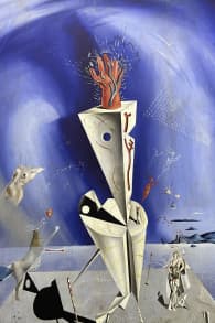 Photo 5 from Dalí Challenge in CDMX