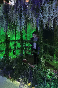 Photo 8 from Monet: L'Esperienza Immersiva