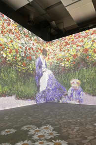 Photo 9 from Monet: L'Esperienza Immersiva