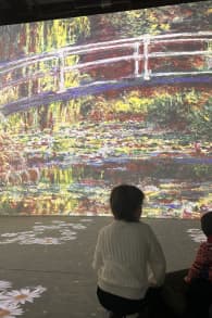 Photo 10 from Monet: L'Esperienza Immersiva