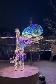 Photo 5 from Lumagica Munich - Carnival of Lights