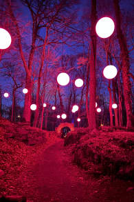 Photo 11 from Astra Lumina: An Enchanted Night Walk Amongst the Stars