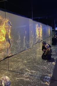 Photo 12 from Tutankhamon: The Immersive Exhibition